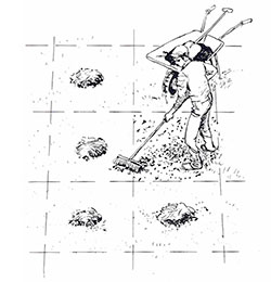 Illustration som visar indelning av gräsmatta i rutmönster med högar av dressmaterial redo för utjämning med kratta.